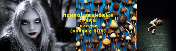 шишки Алексеевка