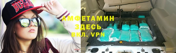 шишки Арсеньев