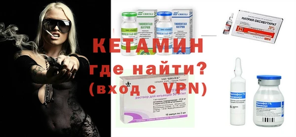 шишки Арсеньев