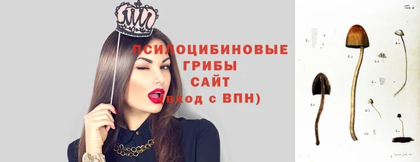 шишки Алексеевка