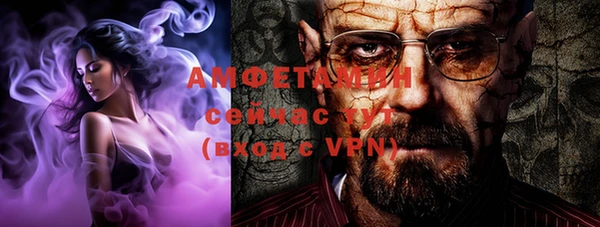 шишки Арсеньев