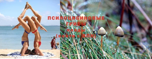 шишки Алексеевка