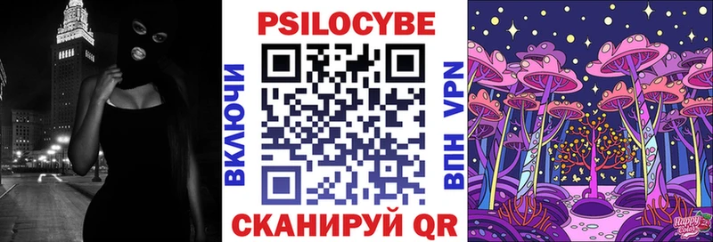 ОМГ ОМГ как войти  Новодвинск  Галлюциногенные грибы мицелий 